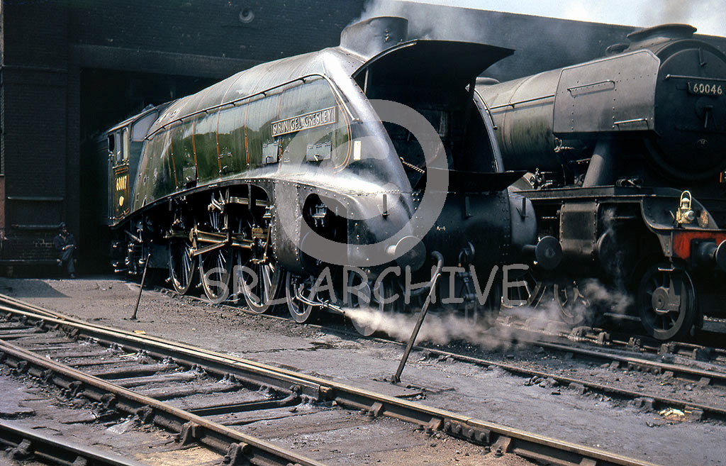 60007 'Sir Nigel Gresley' + A3 60046 'Diamond Jubilee' on shed at Top Shed around 1962 SRL No 771 