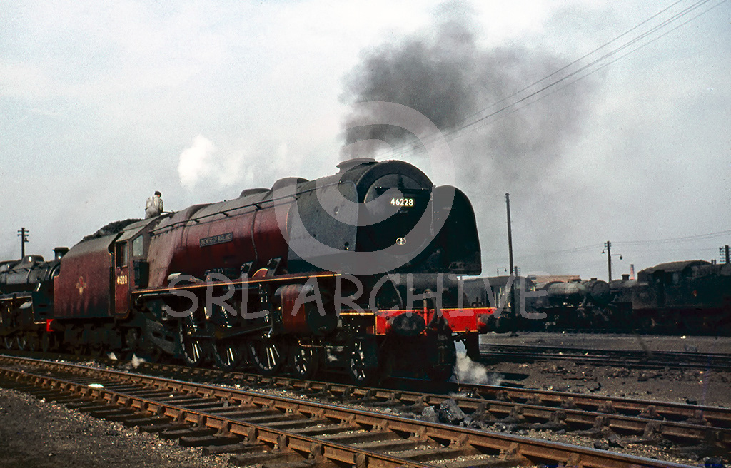 46228 Duchess of Rutland at Polmadie, Glasgow MPD in October 1959 SRL No 228 