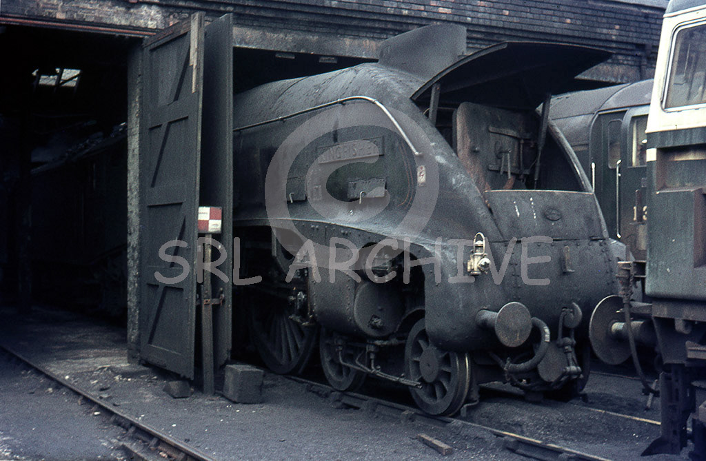 60024 'Kingfisher' on shed at Edinburgh Haymarket 31st May 1963 SRL No 102 