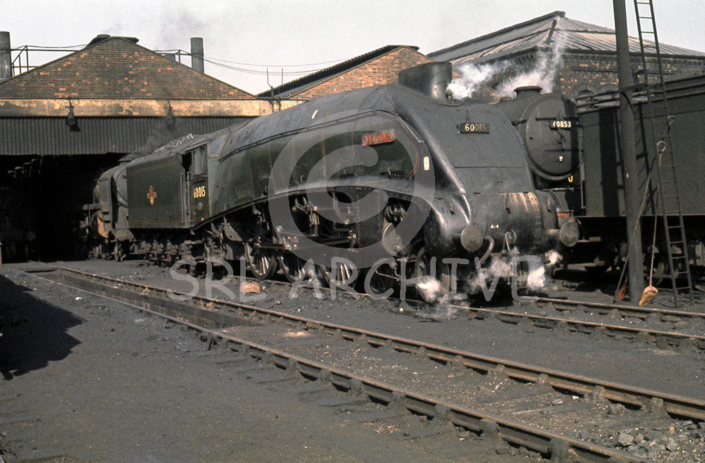 60015 'Quicksilver' on shed at Doncaster along side V2 60853 24th March 1963 SRL No 604 