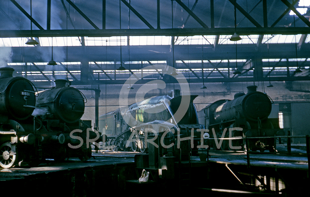 60019 'Bittern' in York Roundhouse with B1 No 61021, 61337, 61019 12th October 1966 SRL No 95 