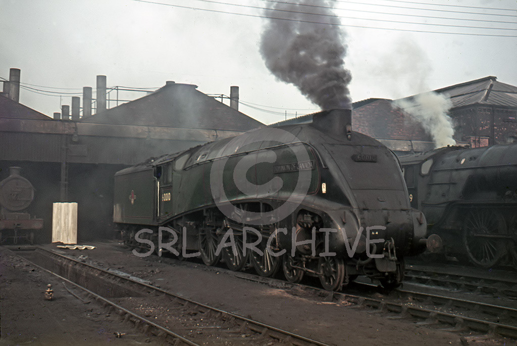 60010 'Dominion of Canada' outside the main shed at Doncaster 24th February 1963 Geoff.F.Todd/SRL No 793 