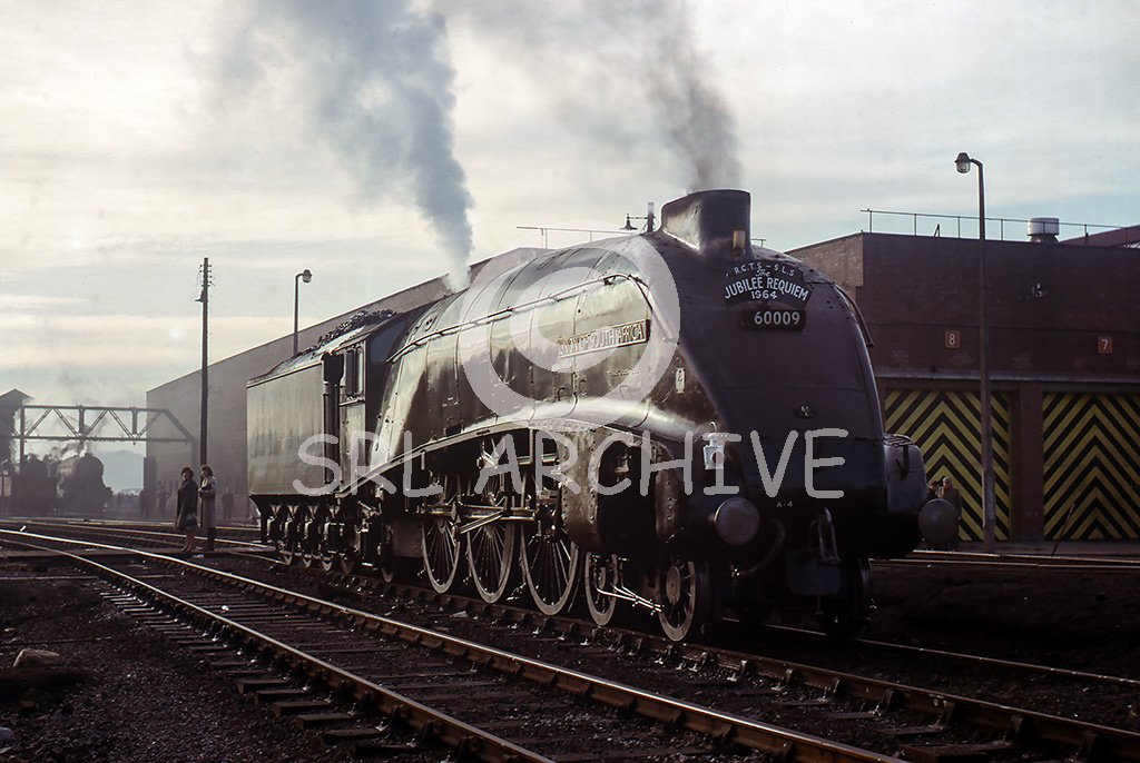 60009 'Union of South Africa' on shed at Gateshead after arriving with the RCTS/SLS Joint Jubilee Requiem rail tour 24th October 1964. The A4 would return south after being serviced at Gateshead. SRL No 1089 