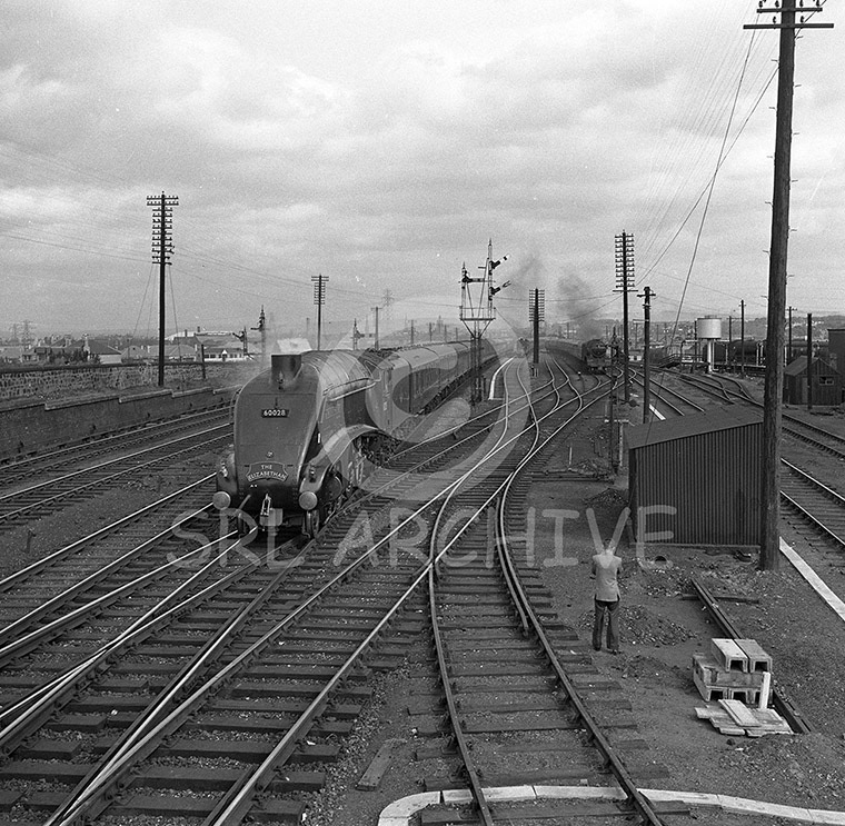 60028 'Walter K Whigham' at Craigentinny with The Elizabethan 8th July 1961 SRL No 734 