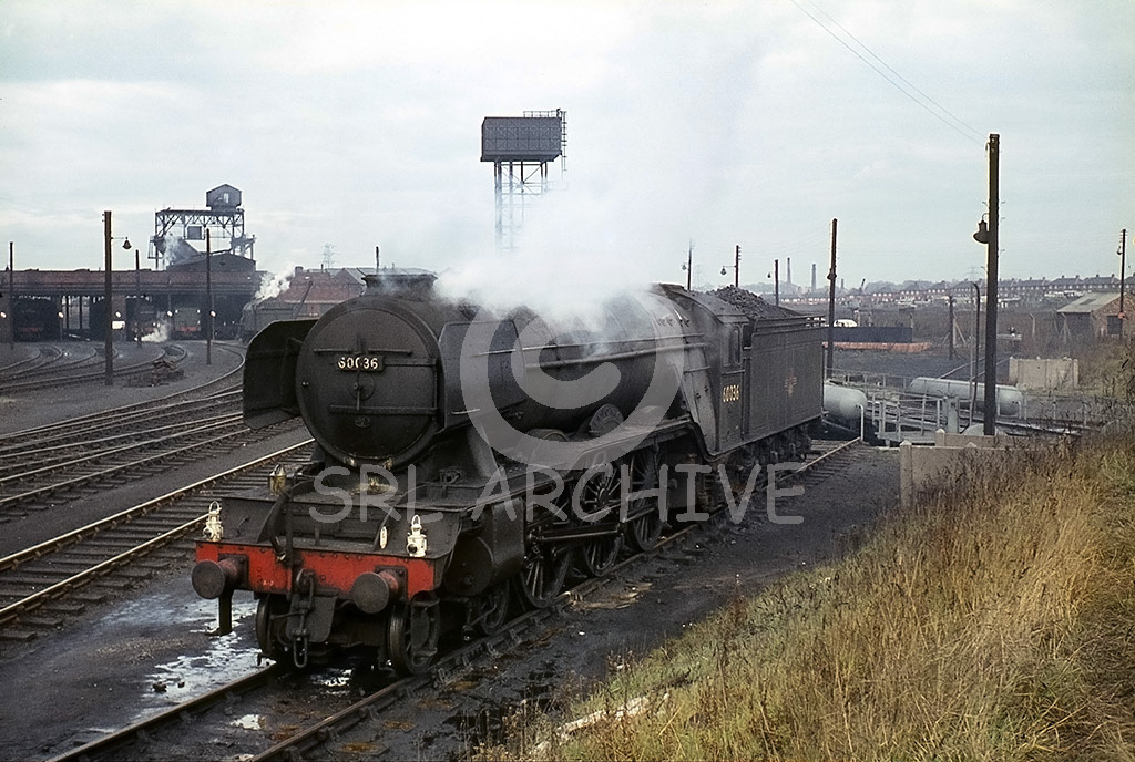 60036 'Columbo' at 51A Darlington MPD 24th October 1964 on stand-by duty Barry Collins/SRL No 917 