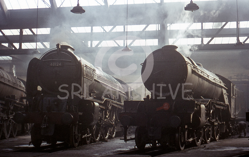 60982 along side A1 No 60124 'Kenilworth' inside York Roundhouse no date but 60982 was withdrawn in October 1964. 60124 was one of the last two A1's in service along with 60145 'St Mungo' both going for scrap in 1966 SRL No 66 