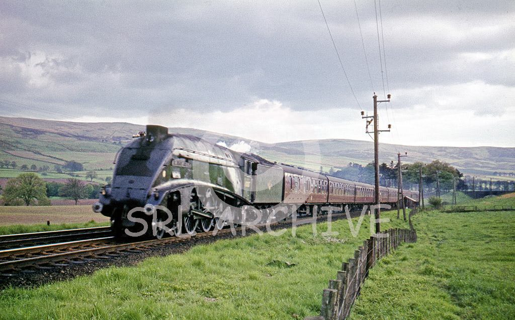 60007  'Sir Nigel Gresley' on the 5.30pm Glasgow-Aberdeen near Gleneagles 20th May 1965 Alan Chandler MBE/SRL No 96 
