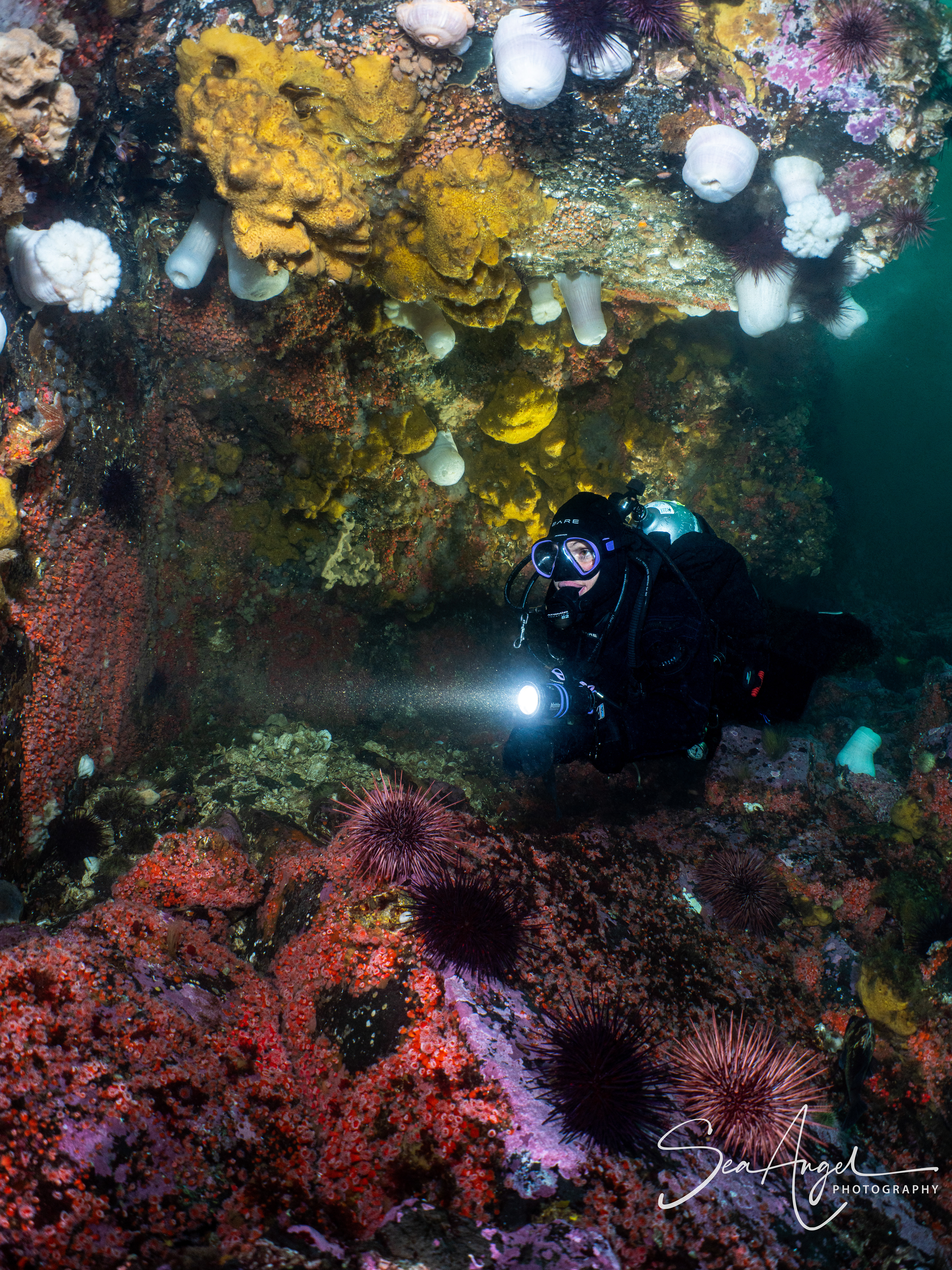 The spectacular colours of Discovery Passage