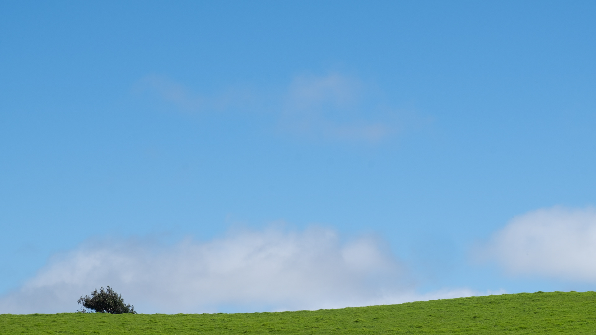 View from fast Mustang convertible, mountain road to Hawi.
