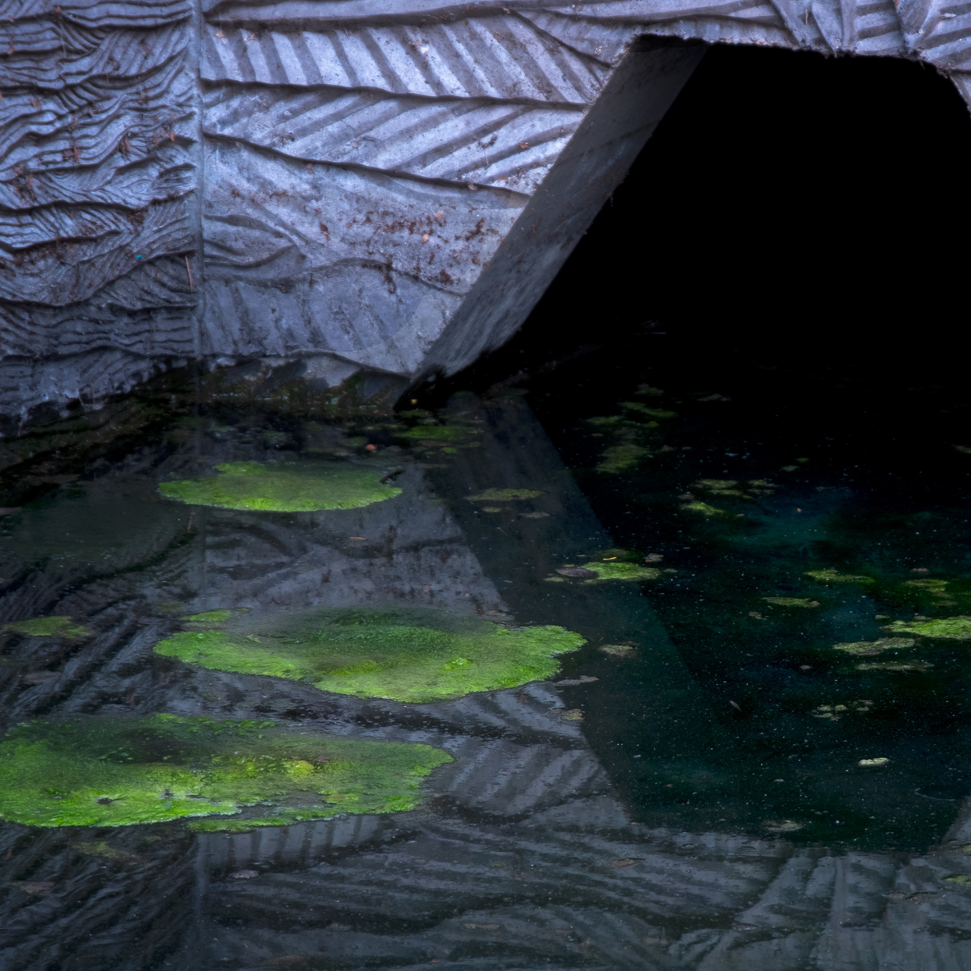Water Diversion Structure