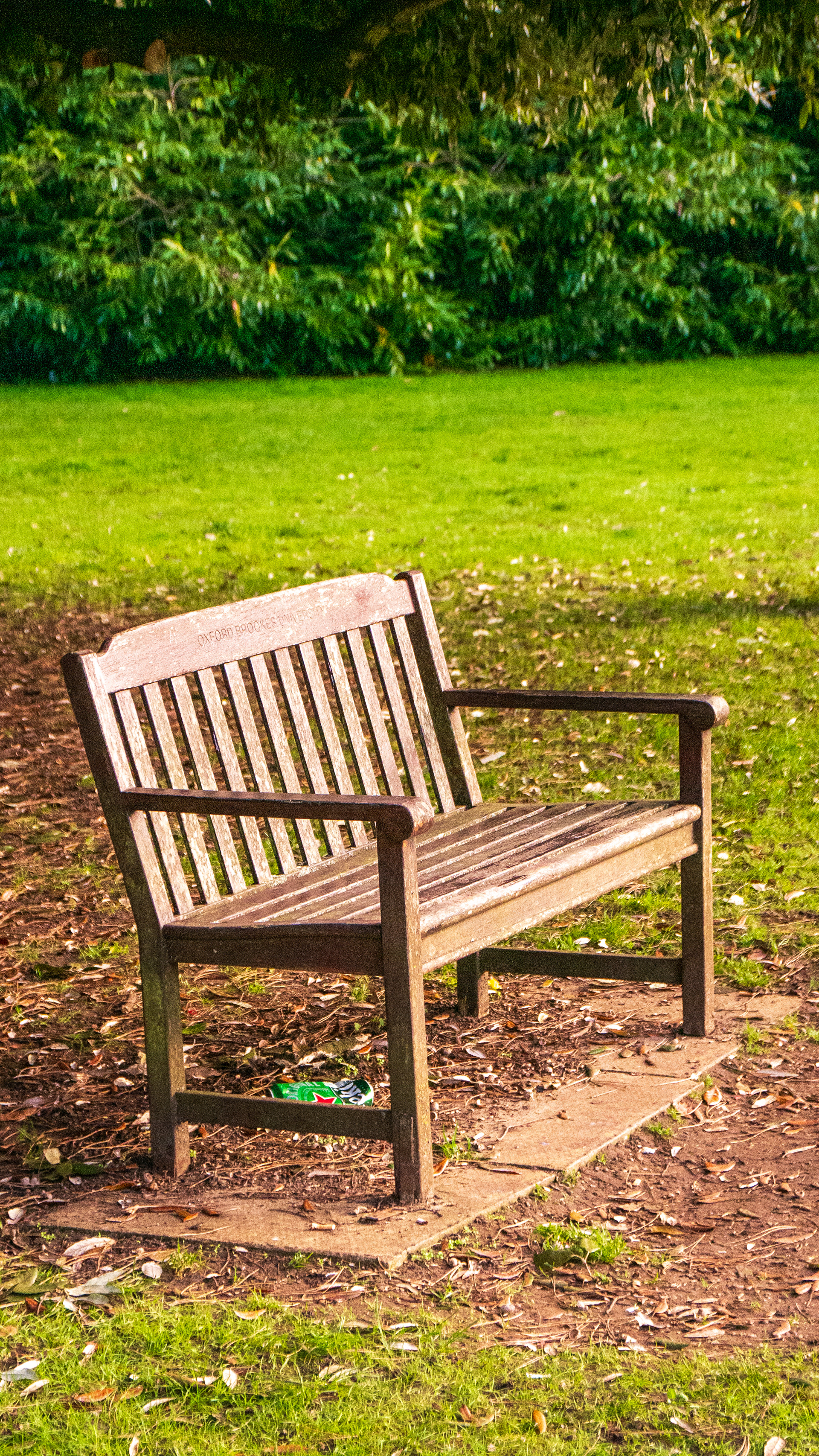 Bench in the park