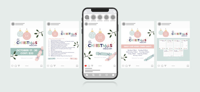 Project 14 : The Christmas Edition - course promo graphics