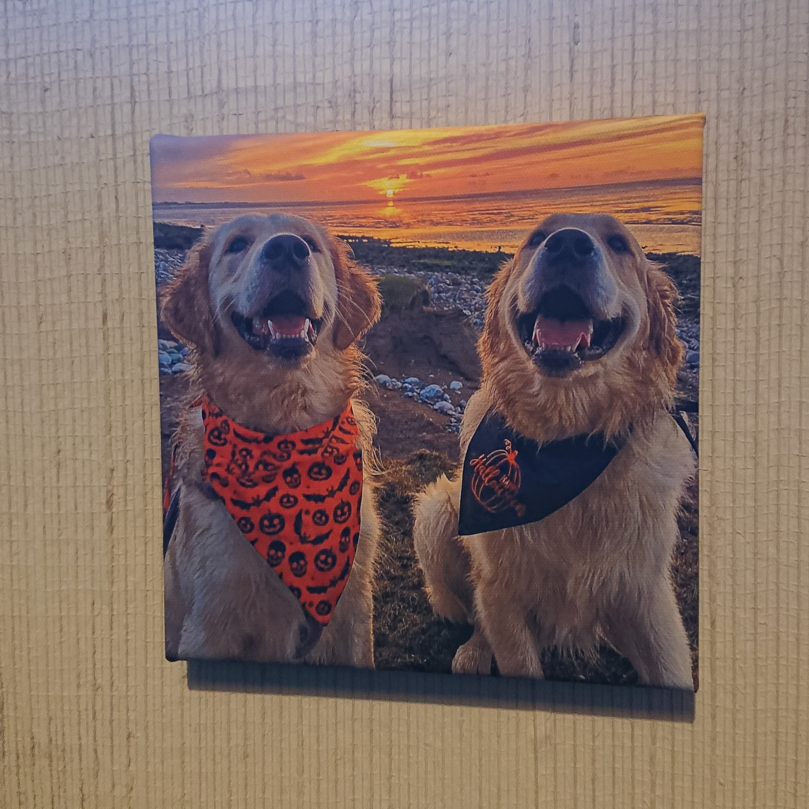 Canvas - CAN000-021 - Retrievers