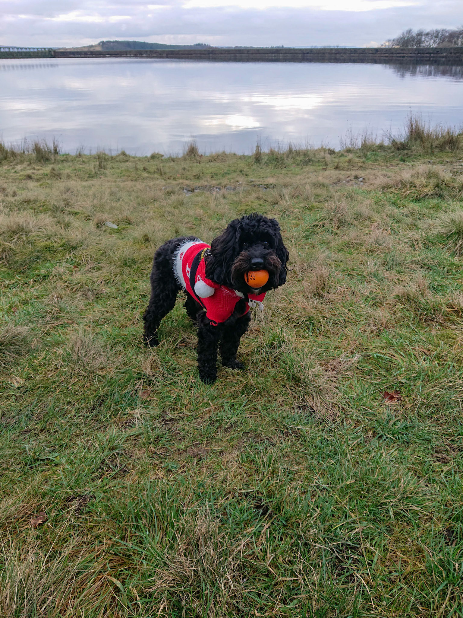 Darcie having a ball