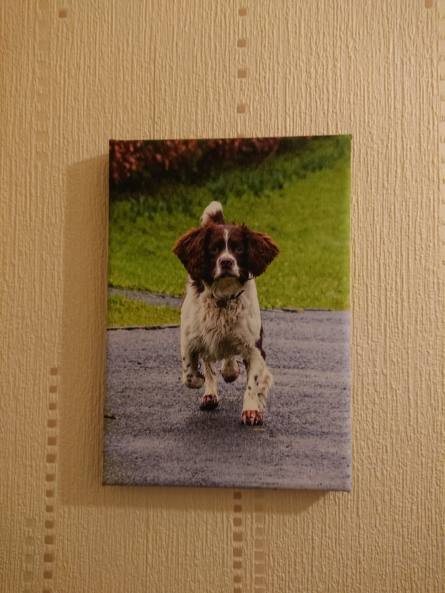 Canvas - CAN027 - Charlie