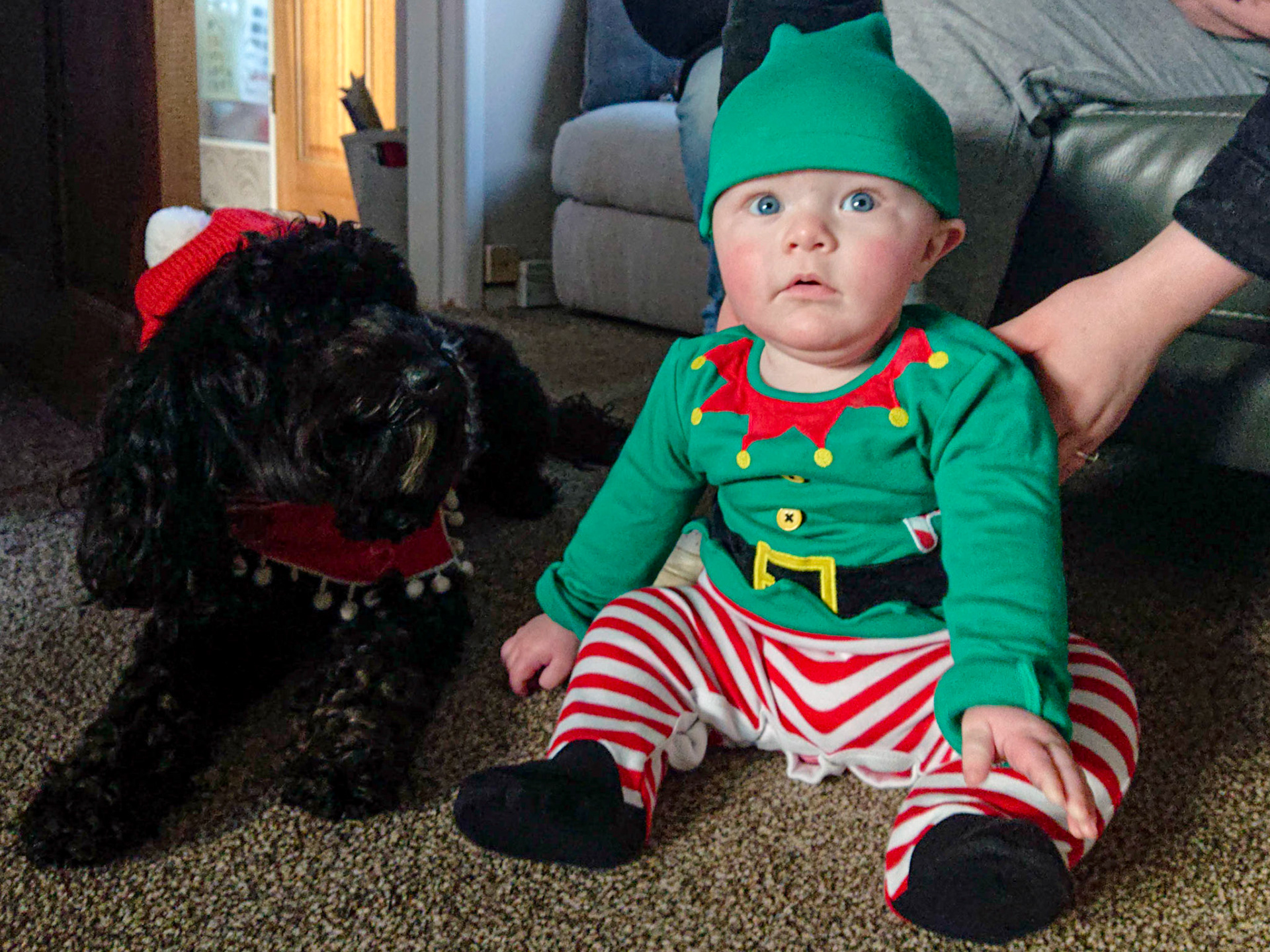 Darcie &amp; worried