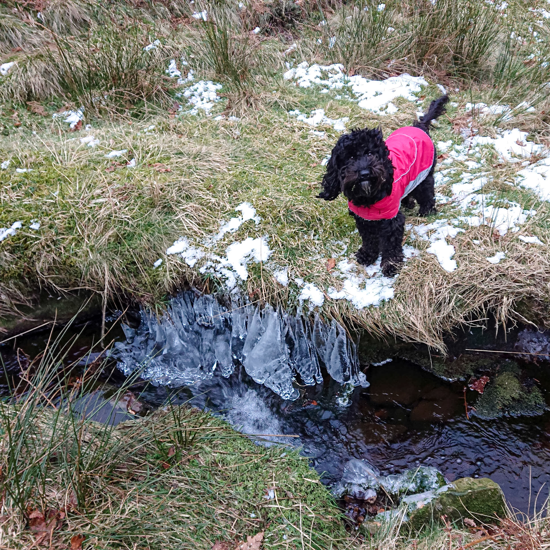 Churn Clough water Darcie