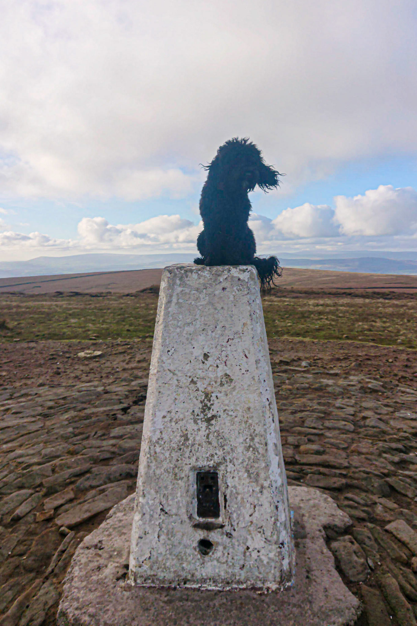 Darcie trig point
