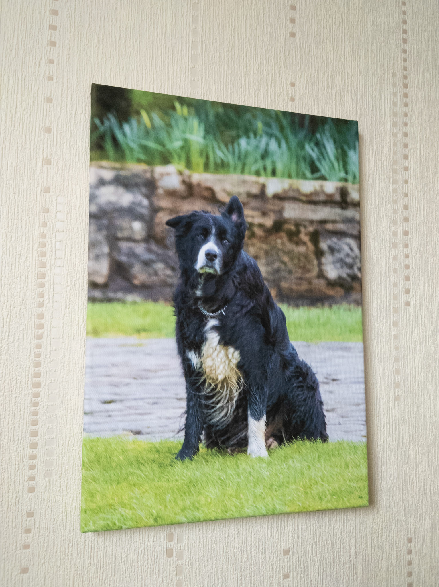 Canvas - CAN046 - Cain