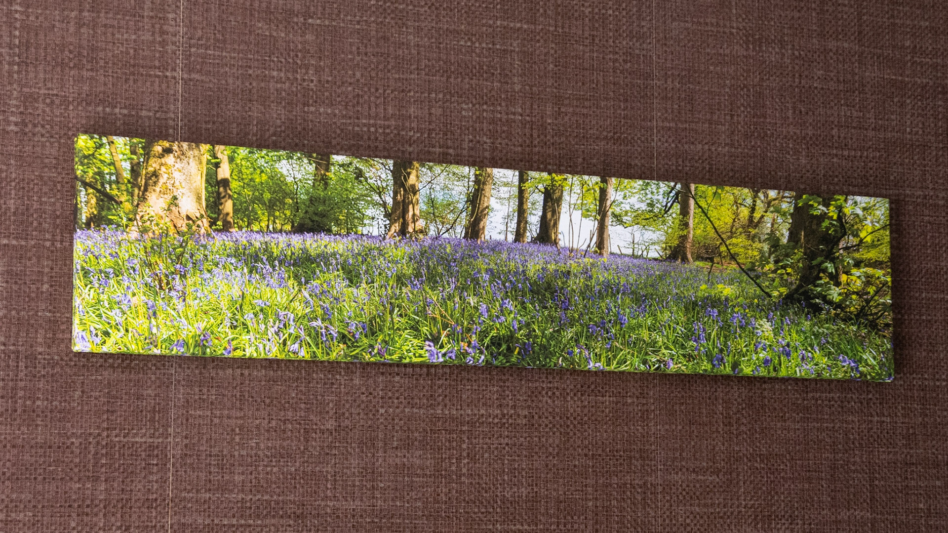 Canvas - CAN034 - Bluebells