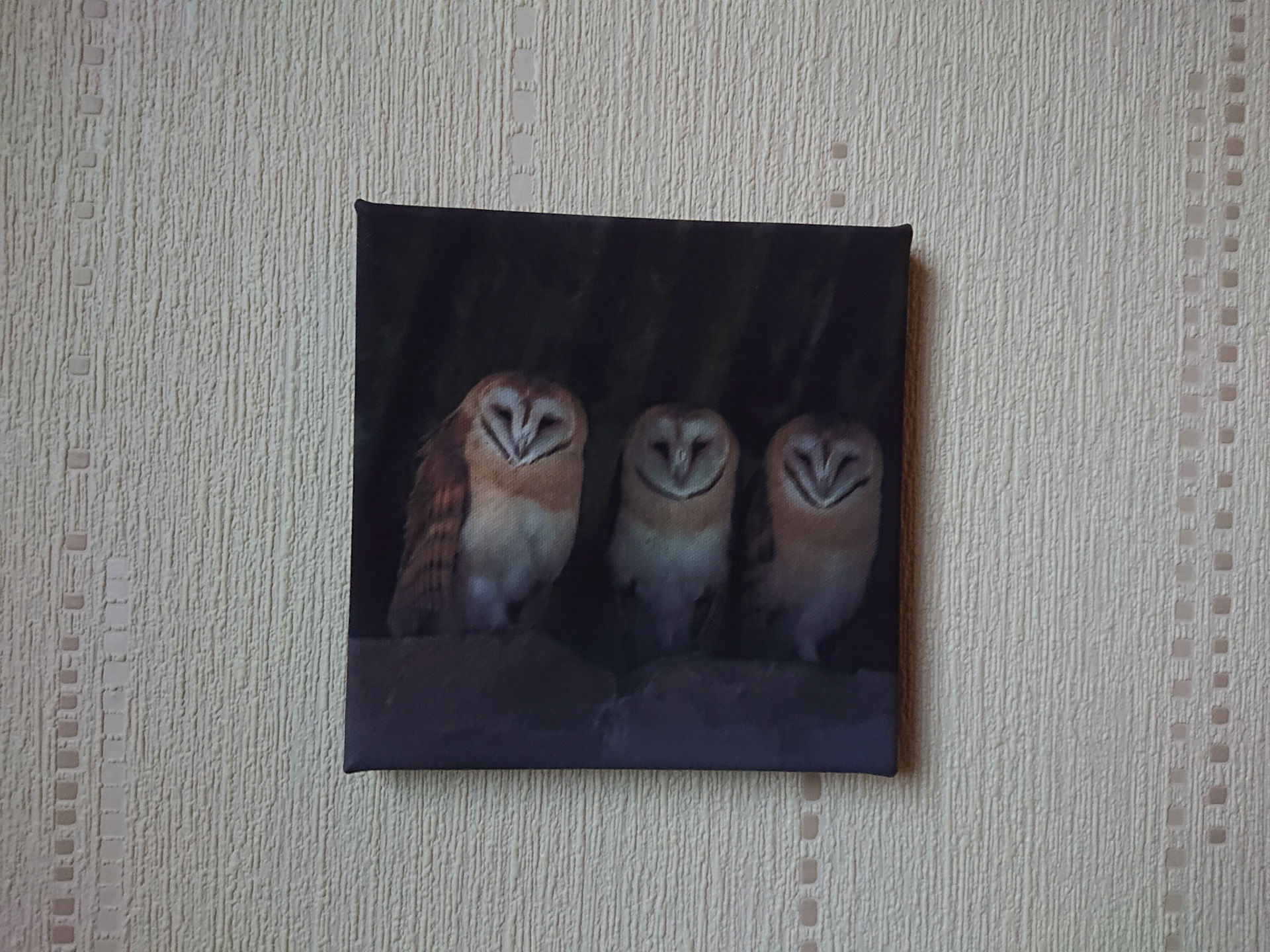 Canvas - PS004 - Owls