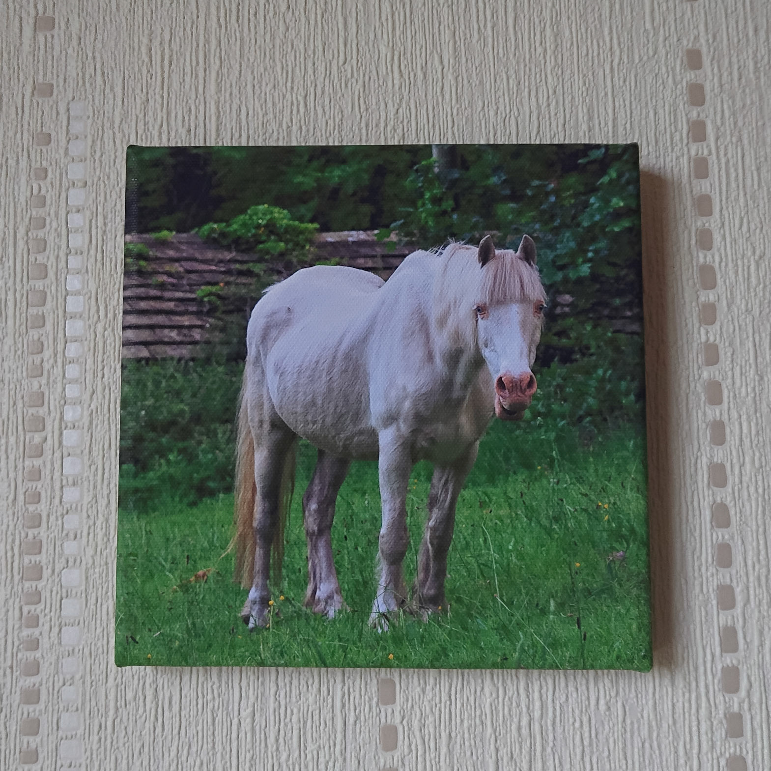 Canvas - CAN004 - Ghost 3