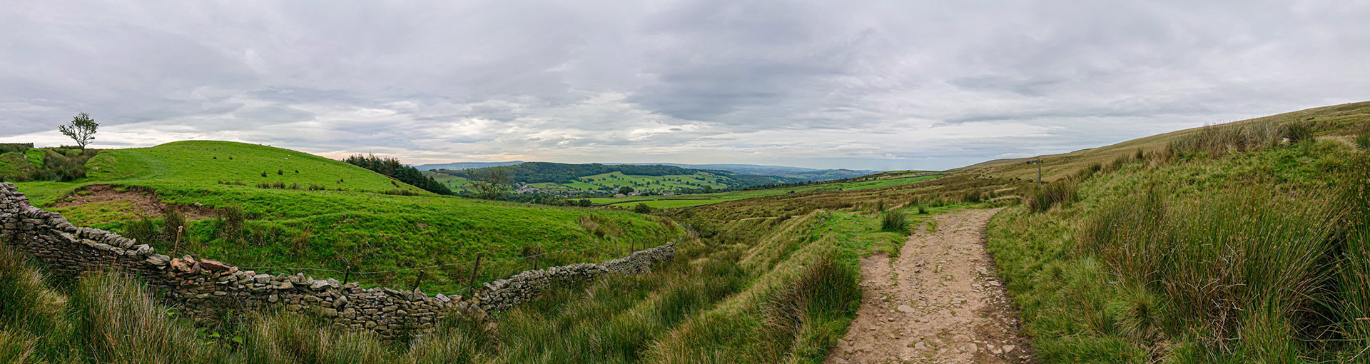 Badger wells panorama