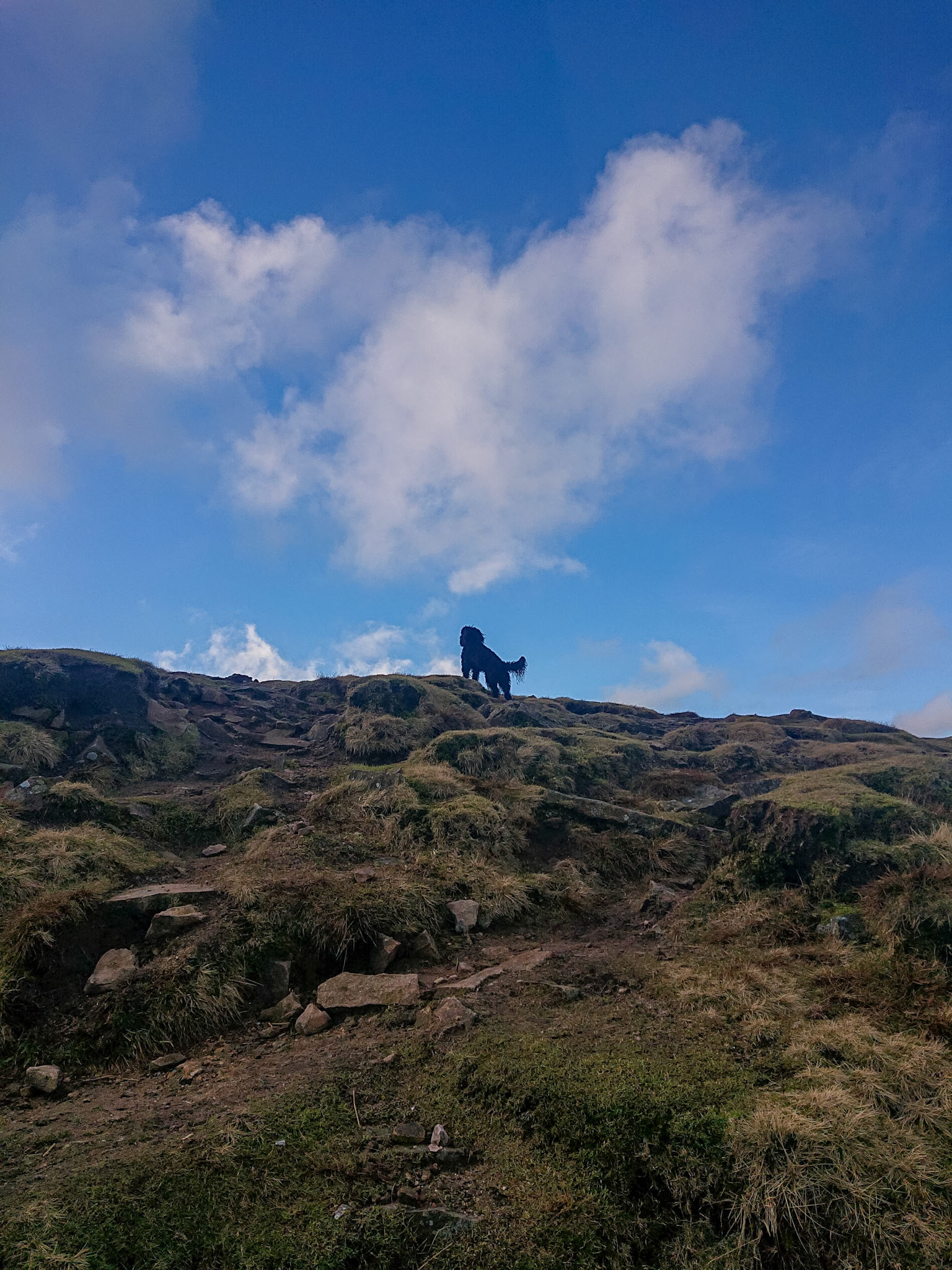 Darcie keeping watch