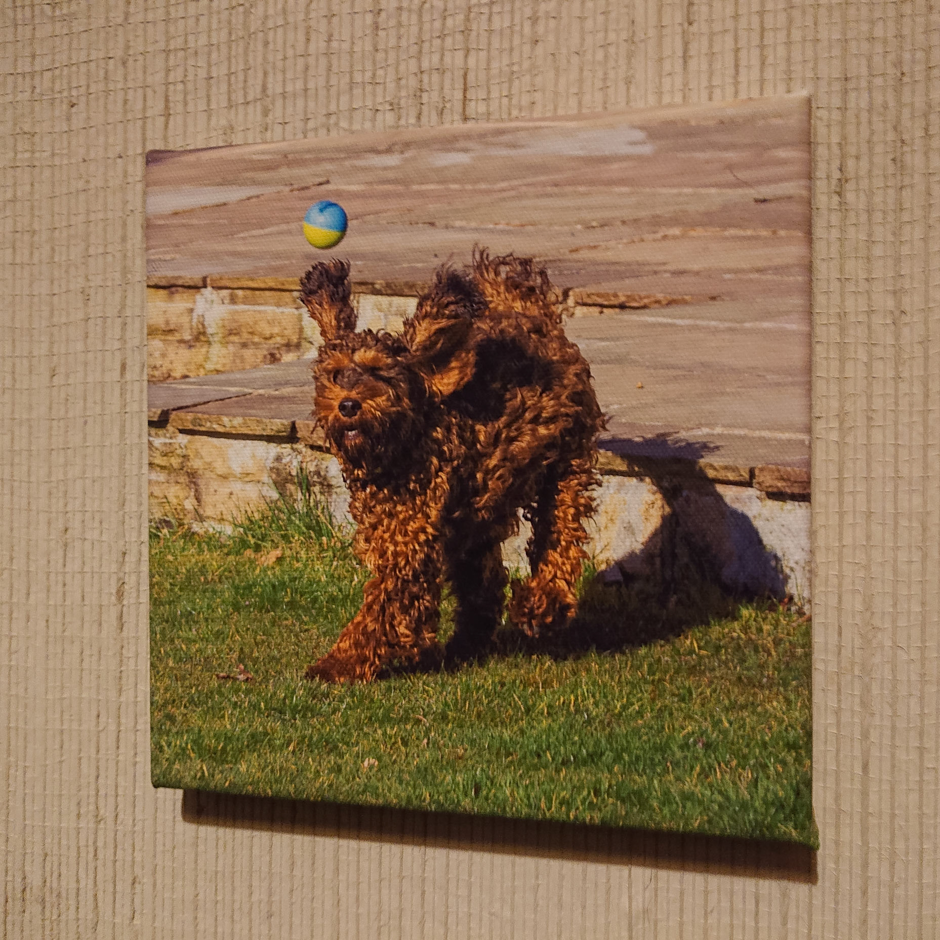 Canvas - PS003 - Larry ball