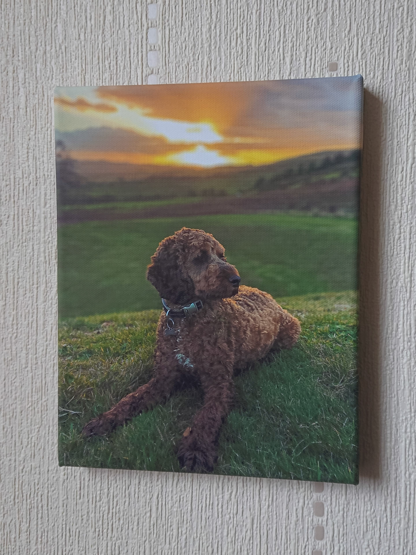 Canvas - CAN000-107 - Larry