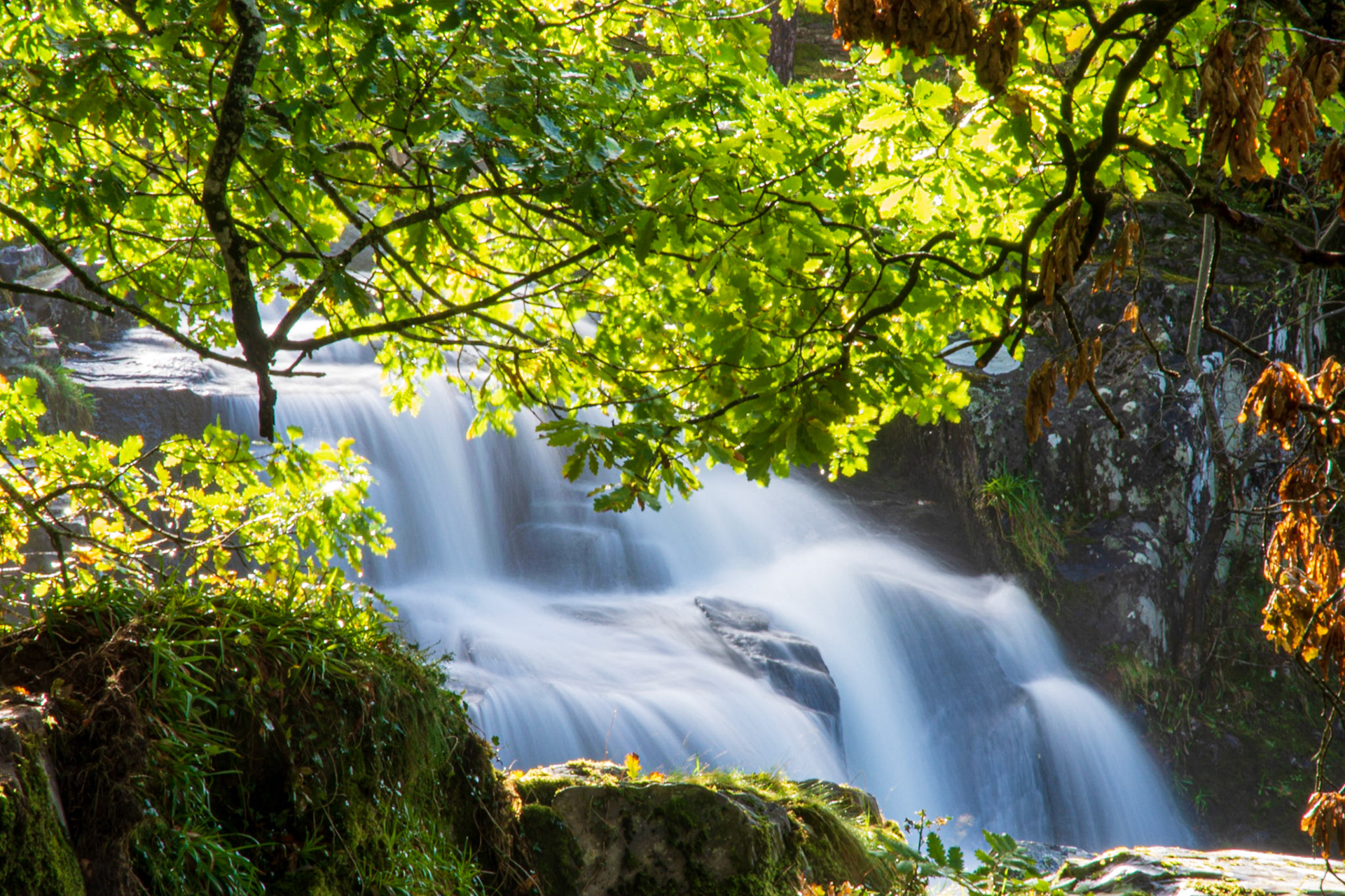 Ogwen Bank waterfall