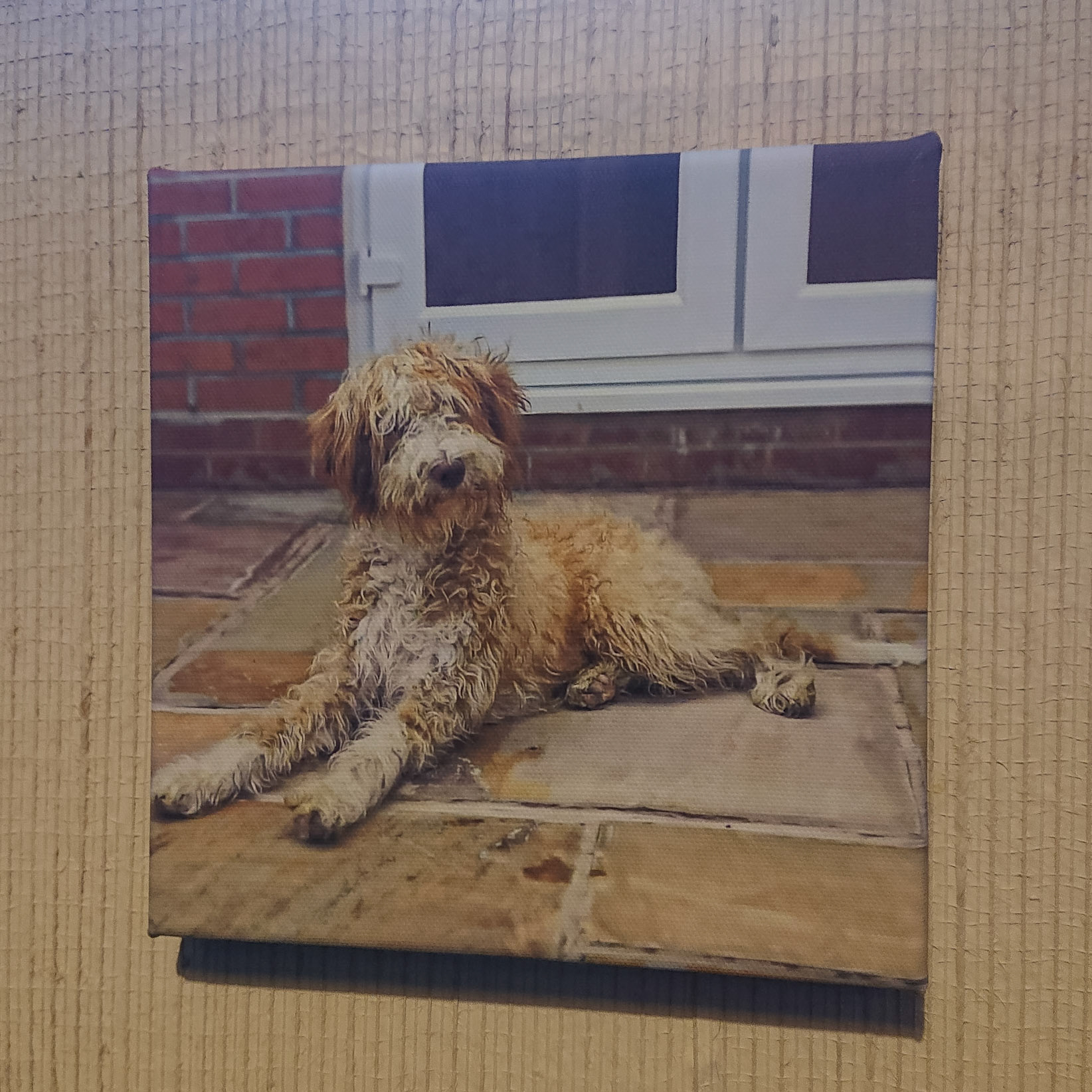 Canvas - CAN000-019 - Moorhouses