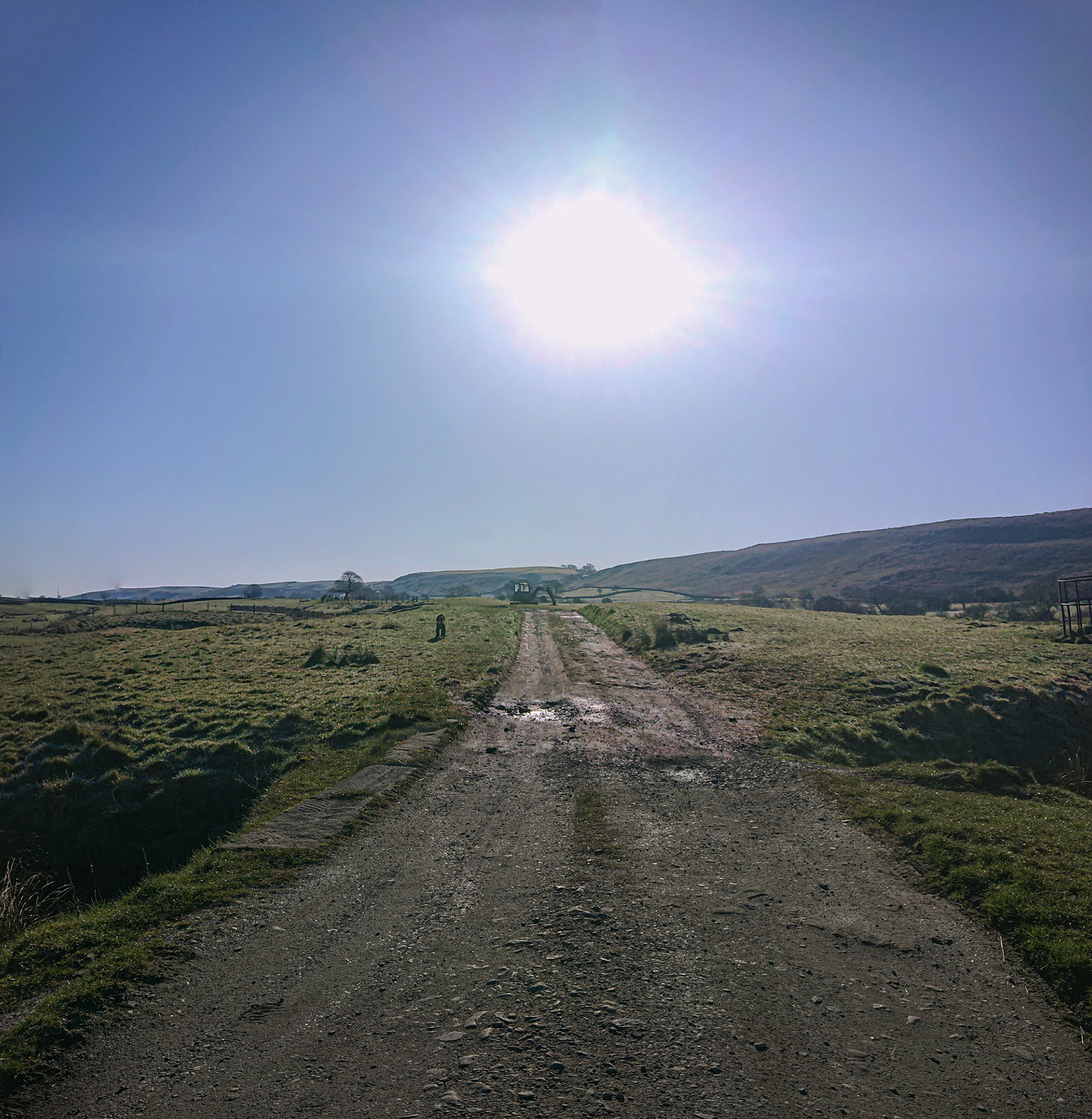 Darcie tractor sunshine stitch