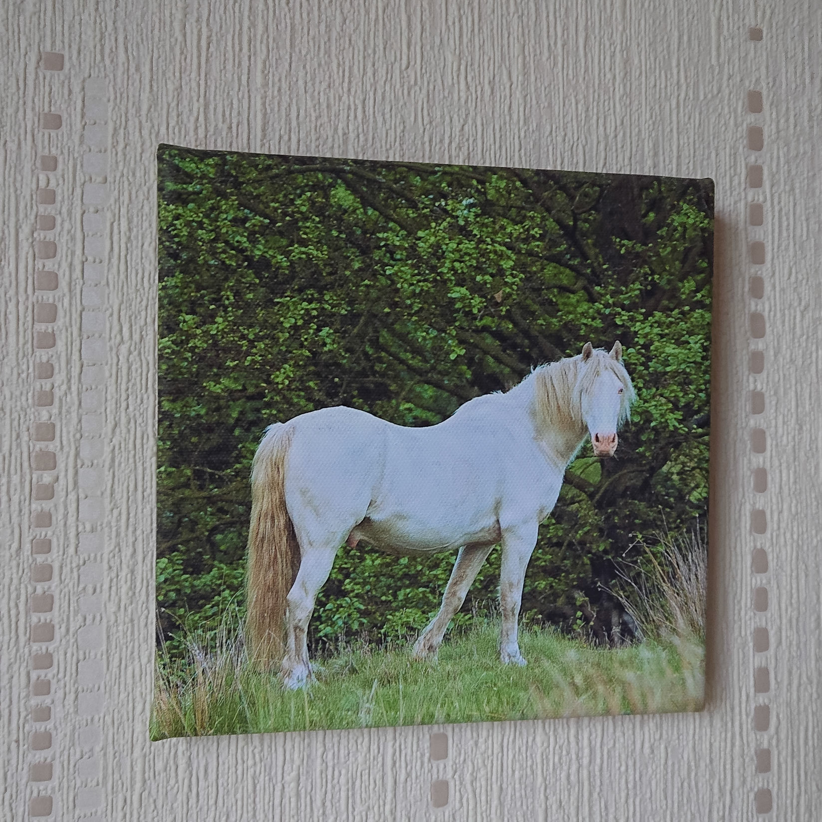 Canvas - CAN003f - Ghost 2