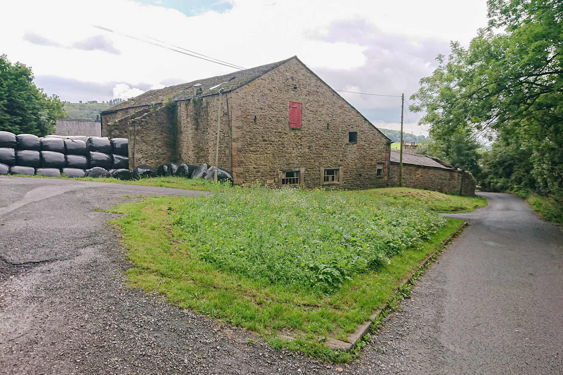 Cockshotts wildflowers