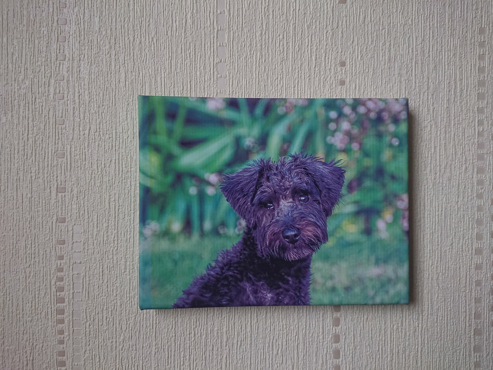 Canvas - CAN021 - Tilly