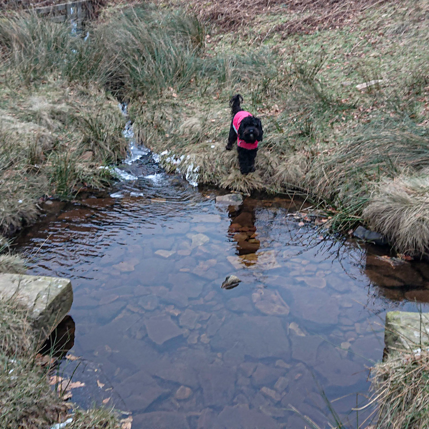 Churn Clough water Darcie