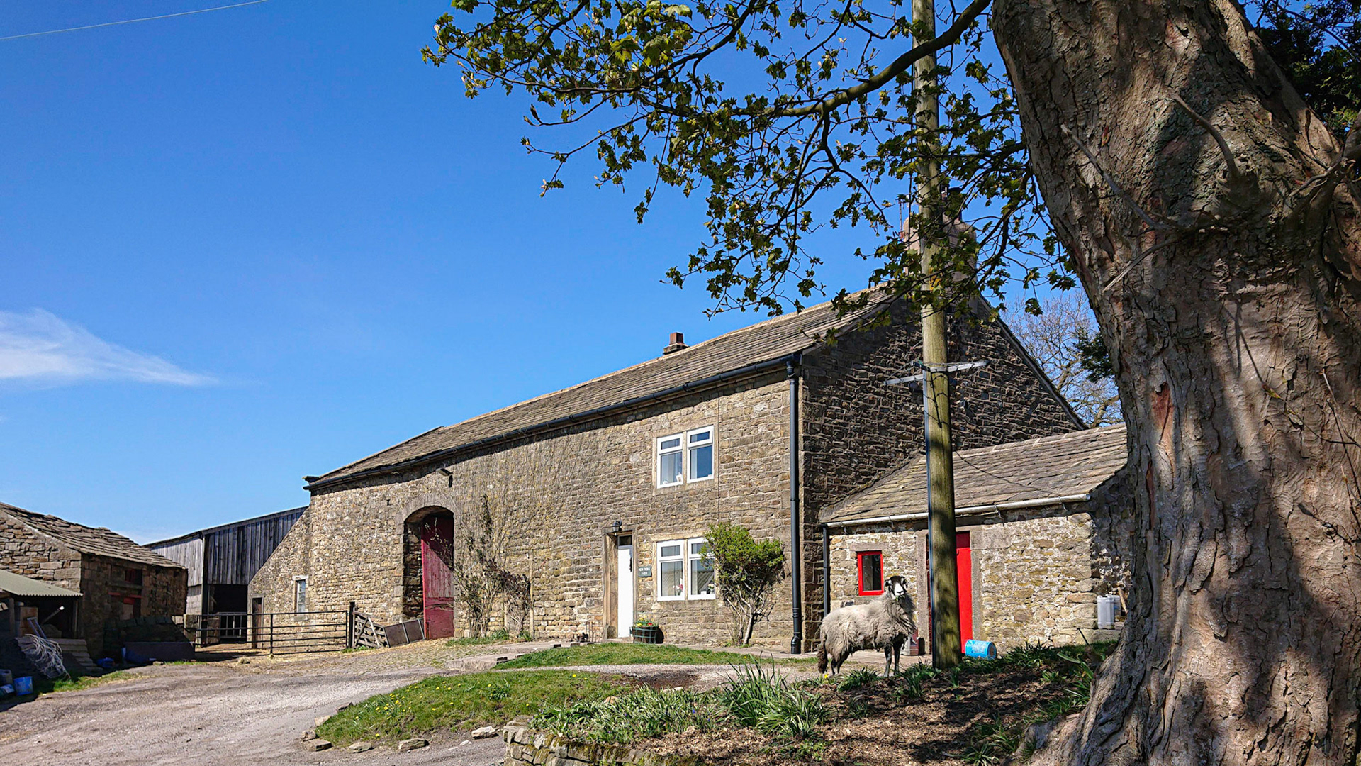 New York farm visitor
