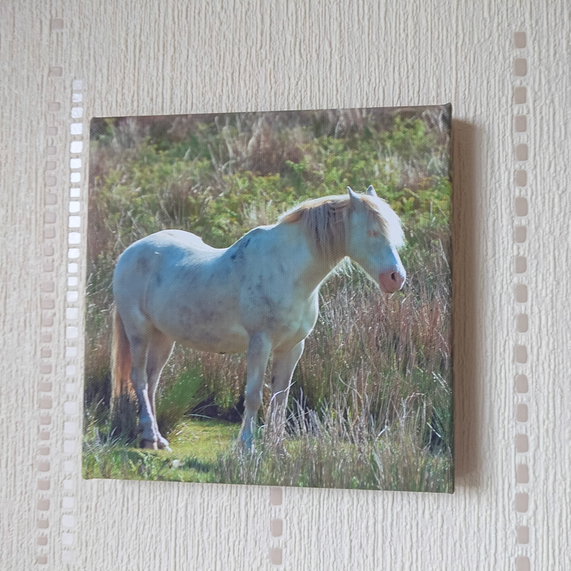 Canvas - CAN002 - Ghost 1