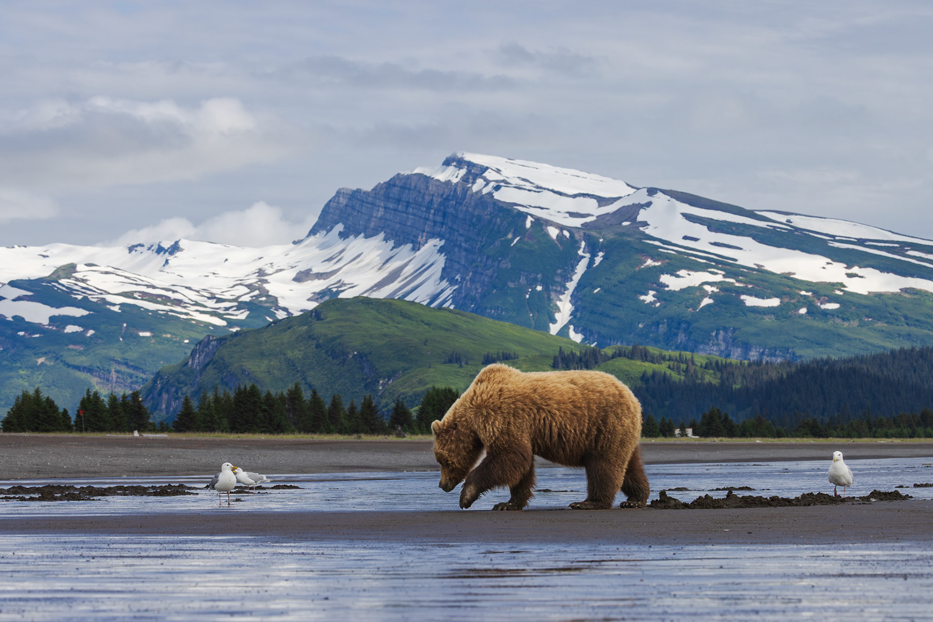 So Alaskan