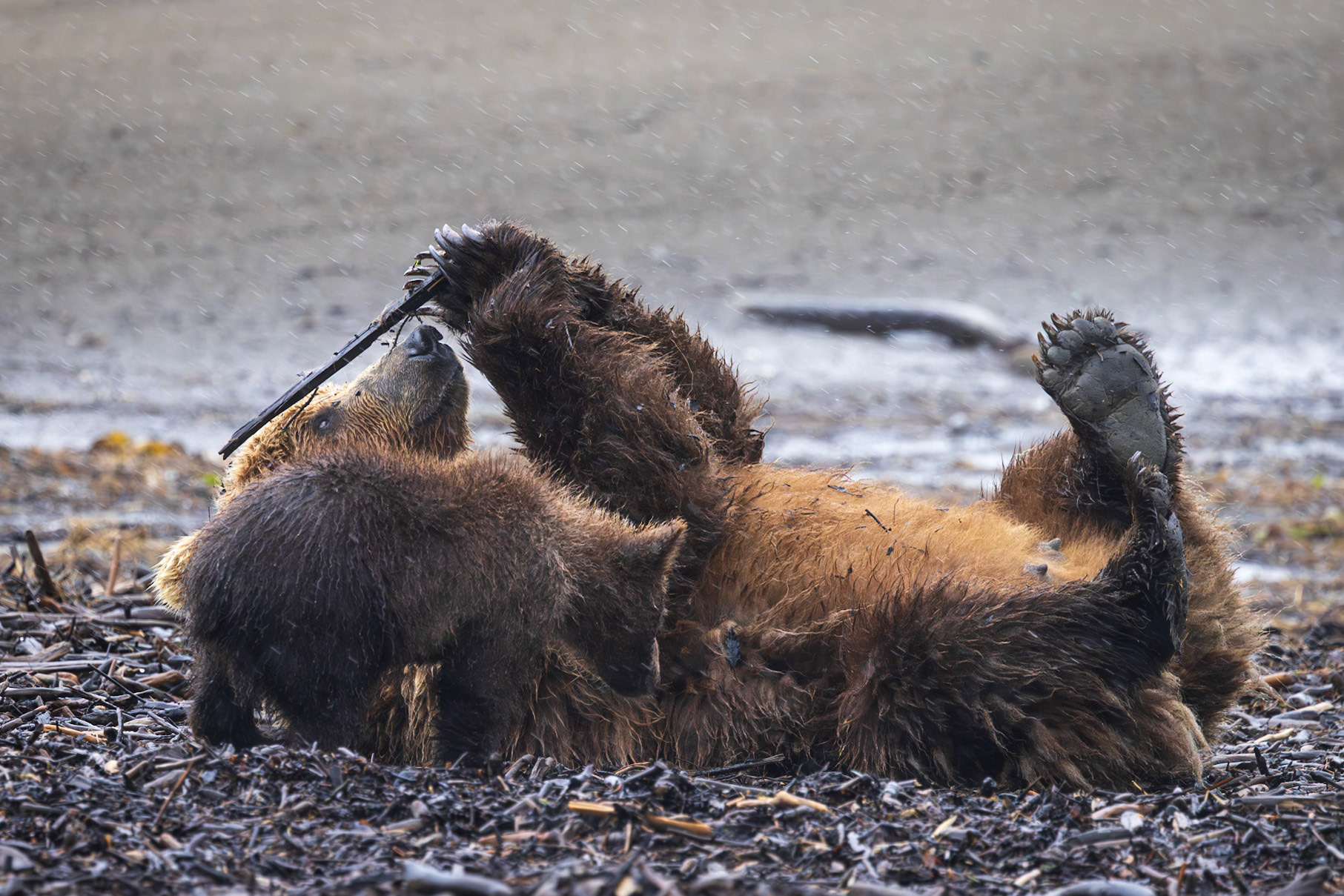 Scratching with a stick