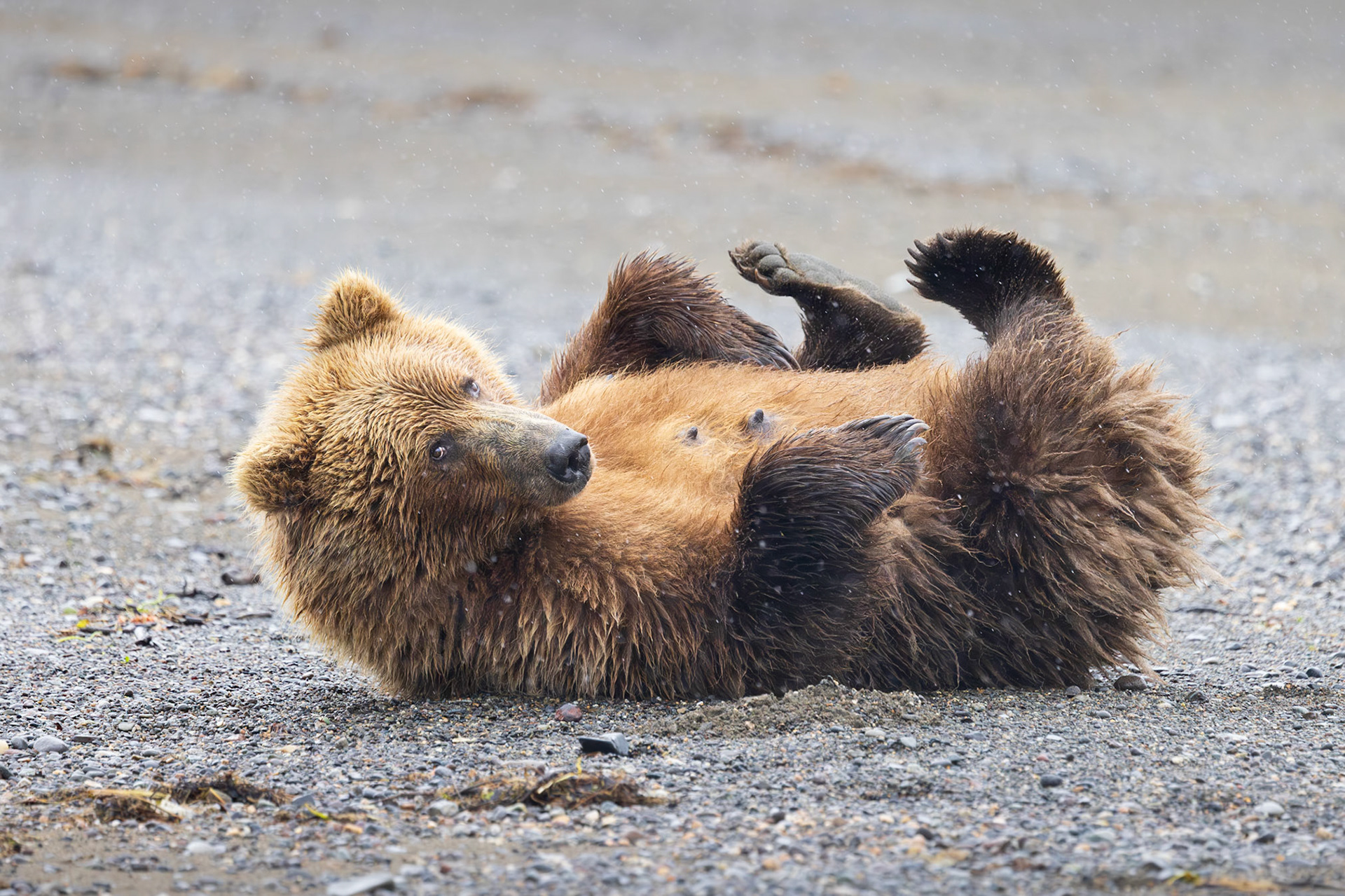 Mom scratching her back