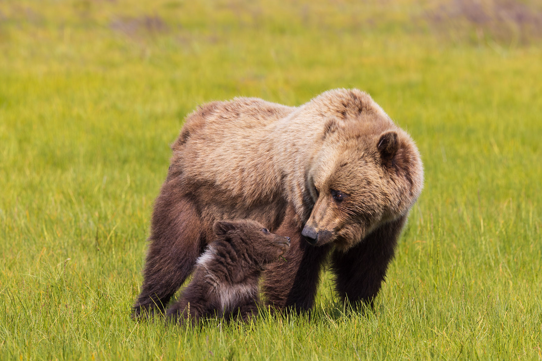 A Mother's Gaze