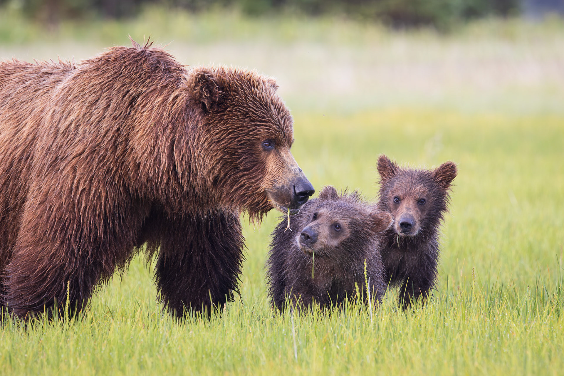 Watching mom