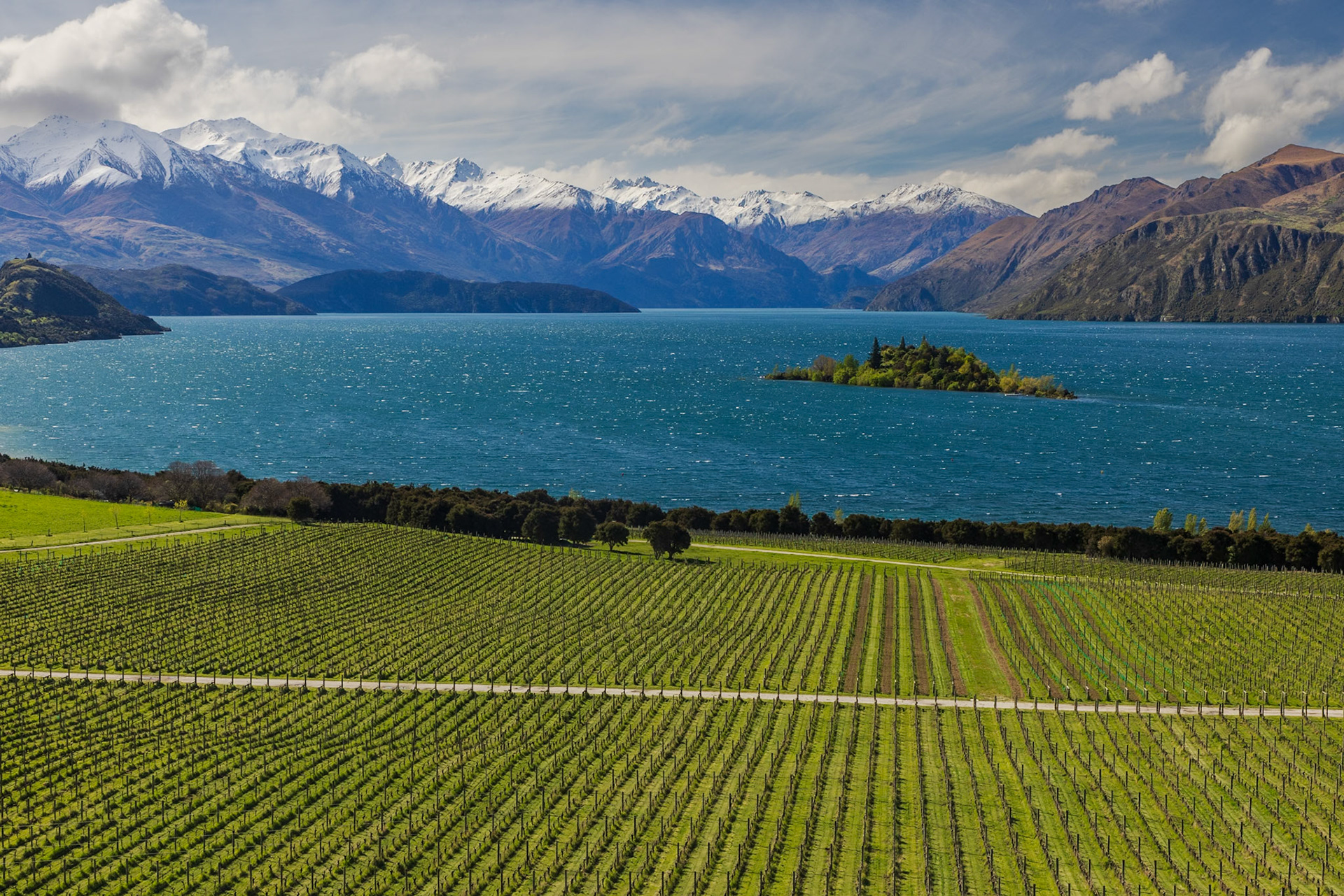 Wanaka Lake from Rippon Winery