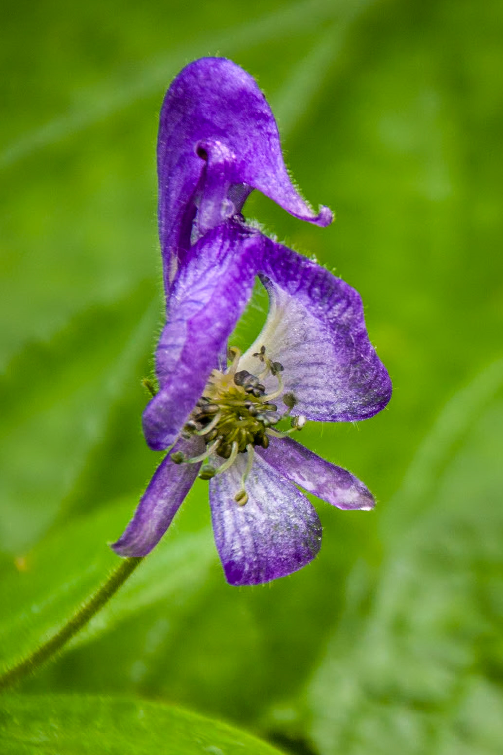 Grand Teton National Park, Wyoming