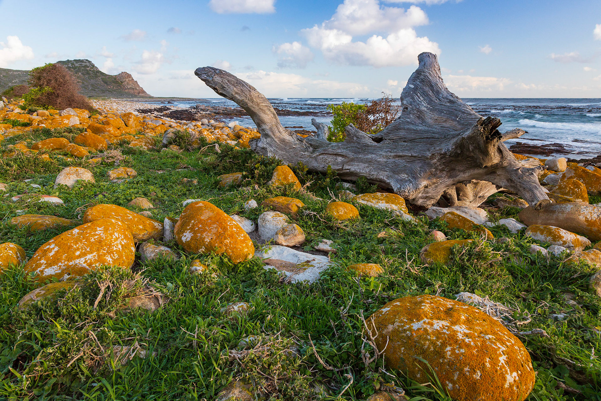 Cape Point Nature Reserve, South Africa