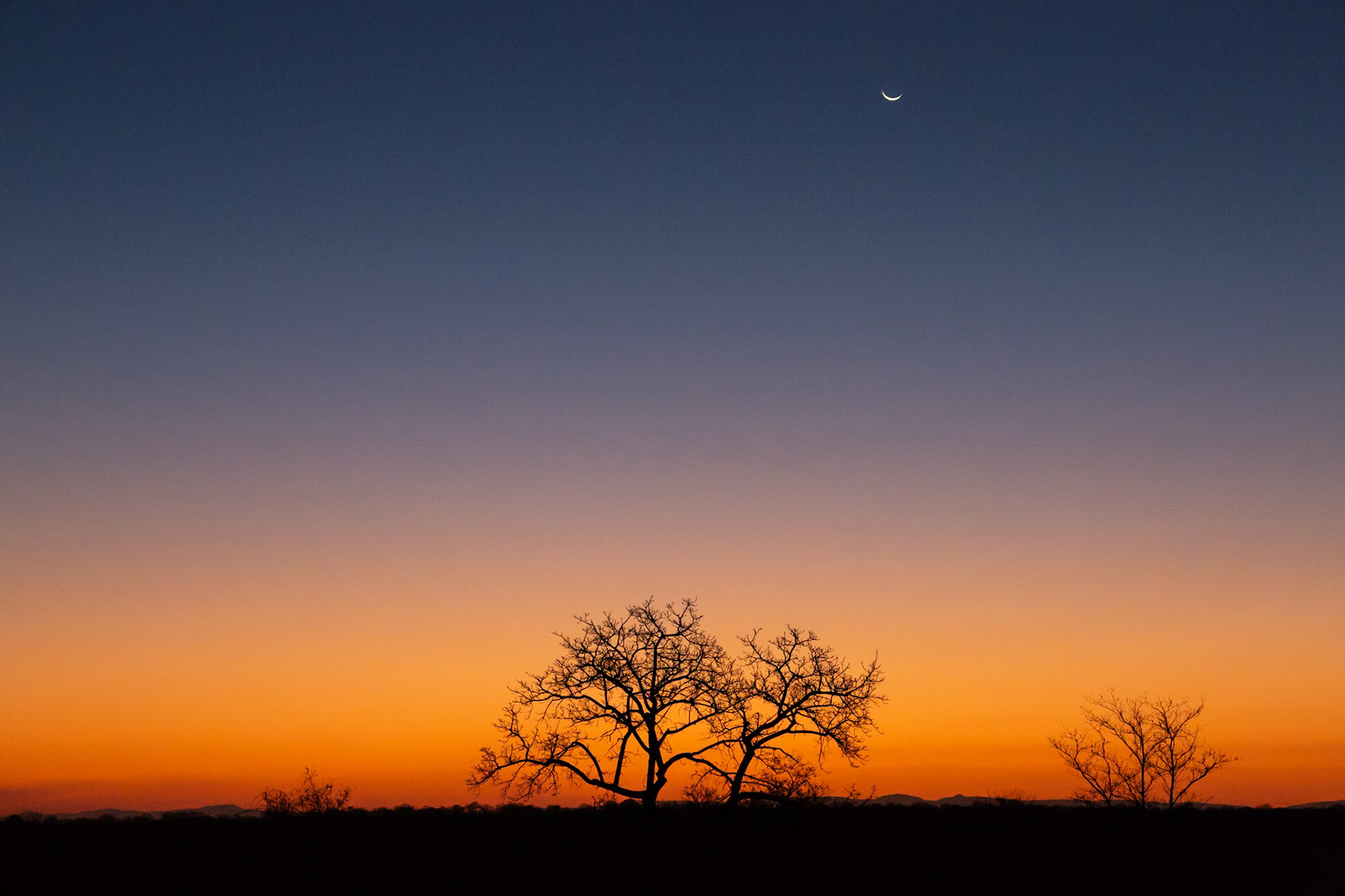 Sabi-Sands Reserve, South Africa