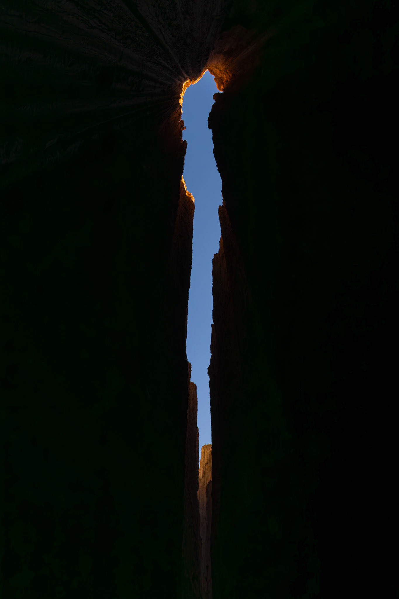 Looking Up