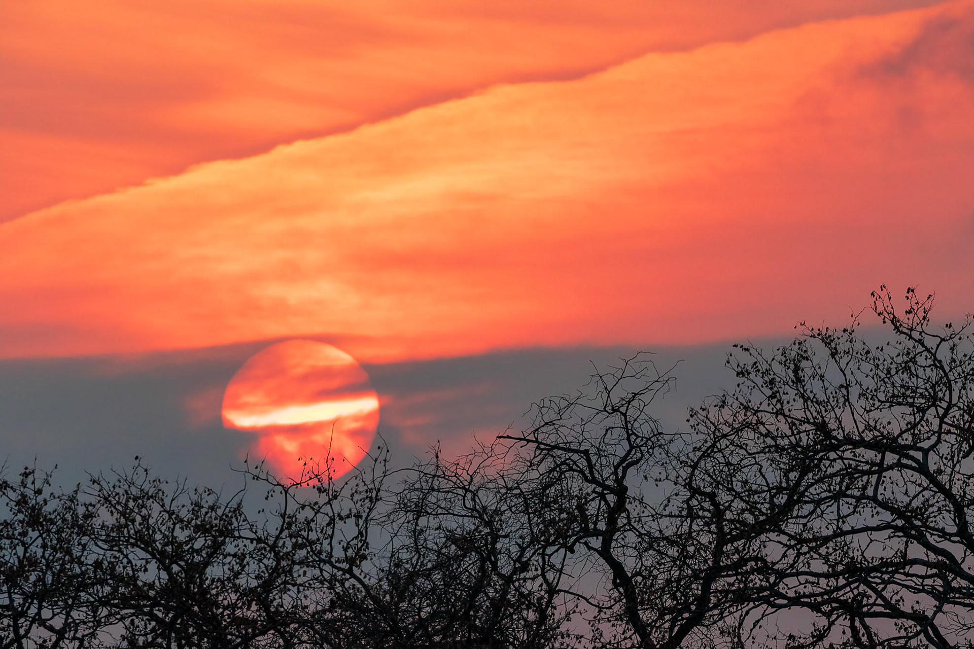 African Sunrise